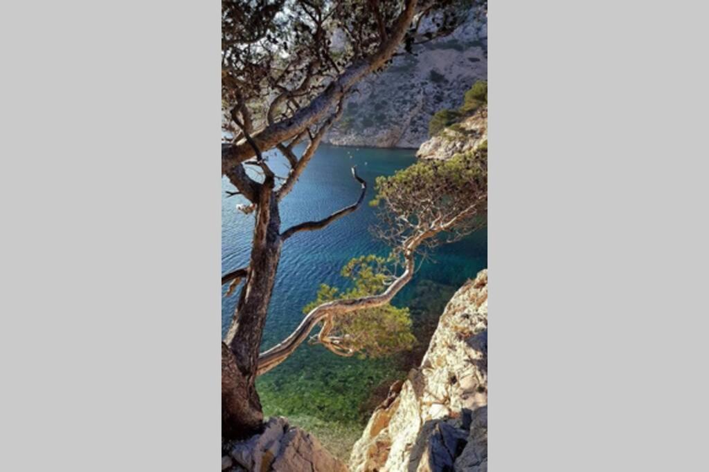 Suite Sur La Mer Marseille Corniche Exterior foto